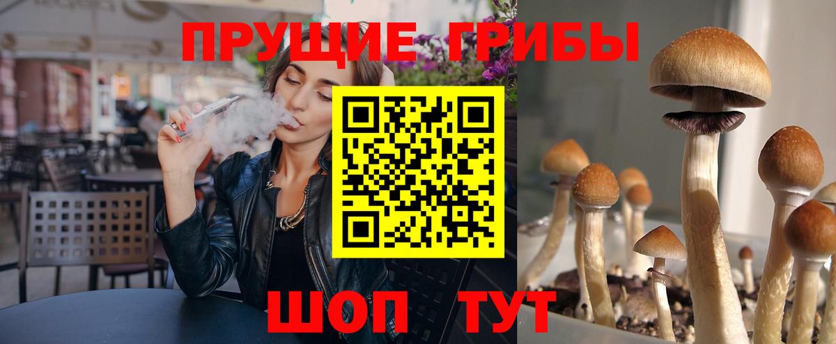 Галлюциногенные грибы прущие грибы Димитровград